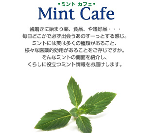 Mint Cafe ~gJtF@Ɏn܂AHiAnDiEEEǂŕKo̂[Ƃ銴B~gɂ͎͑̎ނ邱ƁAlXȈIp邱ƂmłBȃ~g̑ʂЉA炵ɖ𗧂~g͂܂B