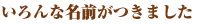 lQFȖO܂